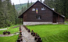 Cabana Patru Brazi